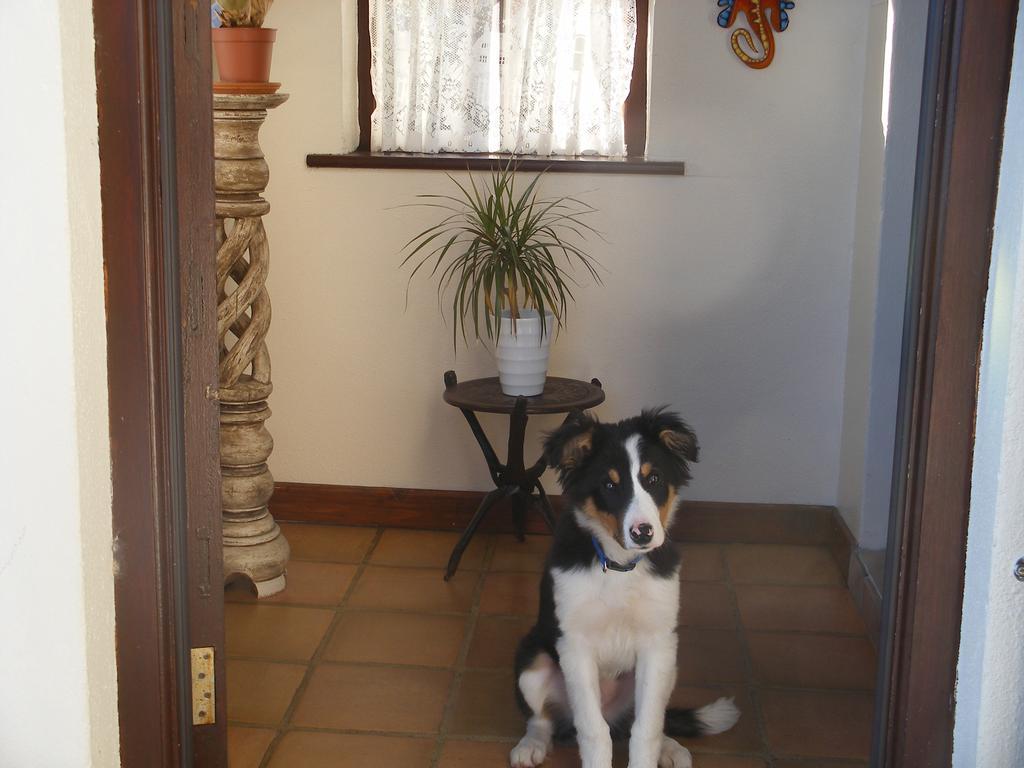 Doolin Cottage Accommodation ภายนอก รูปภาพ